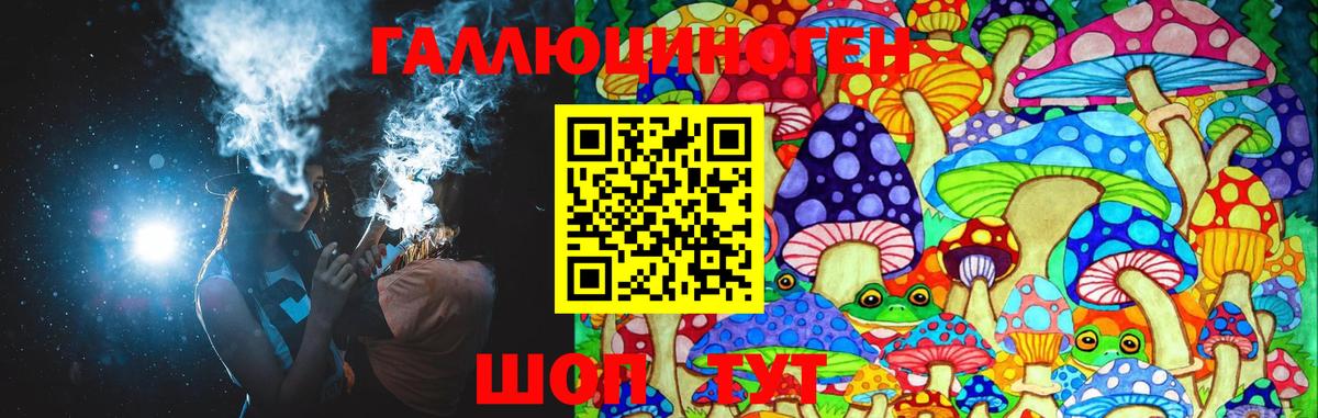 Галлюциногенные грибы Psilocybe Вязьма