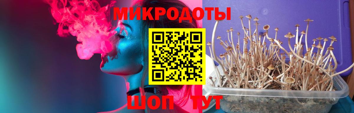 Вязьма  Галлюциногенные грибы мухоморы  Вход с VPN 